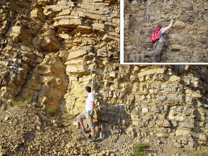 Fósseis, a evolução da vida Museu virtual. 6. Período Siluriano