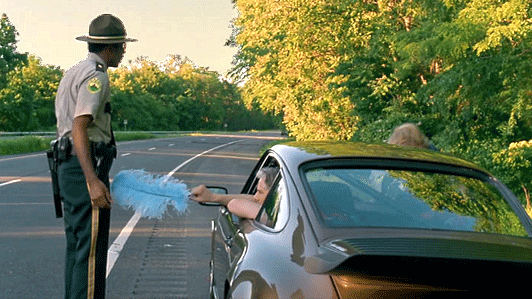 [Image: super-troopers-original-532.gif]