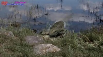 Phim Cá Sấu Khổng Lồ 3 - Lake Placid 3 [Vietsub] Online