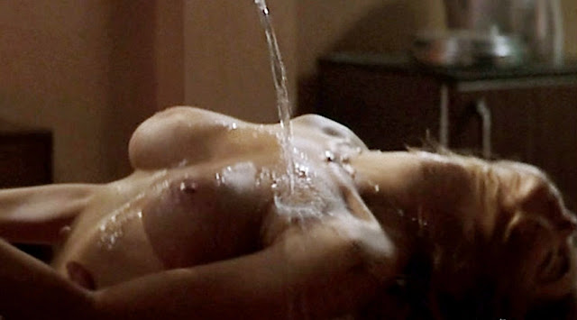 Top 10 Nude Scenes In Cinema 196 Denise+Richards+(23)