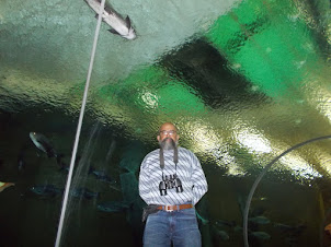 Inside the "Walk-In Aquarium" of Johannesburg Zoo.