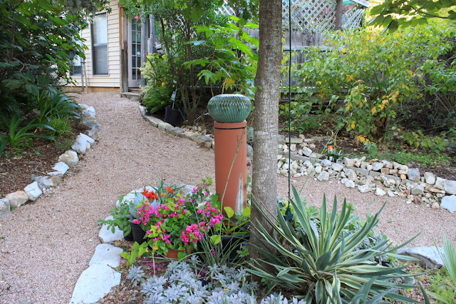 Rock-Oak-Deer: Visiting a plant collector's garden