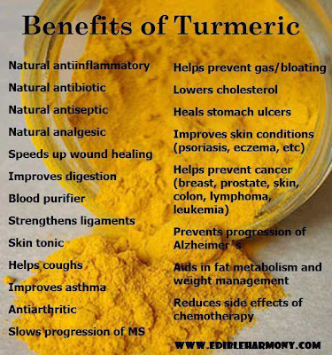 the health benefits of turmeric 