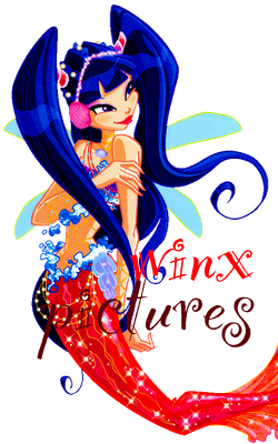 My Winx Club Pictures