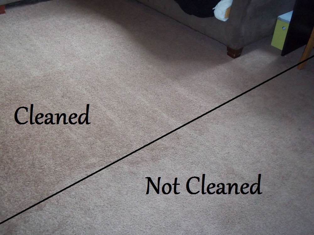 The RetroModern Mom Homemade Carpet Shampoo