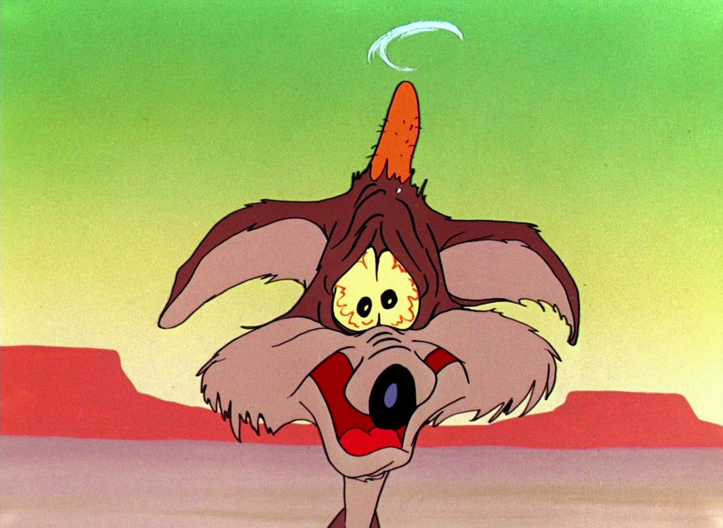 Looney Tunes Pictures: "Operation: Rabbit"
