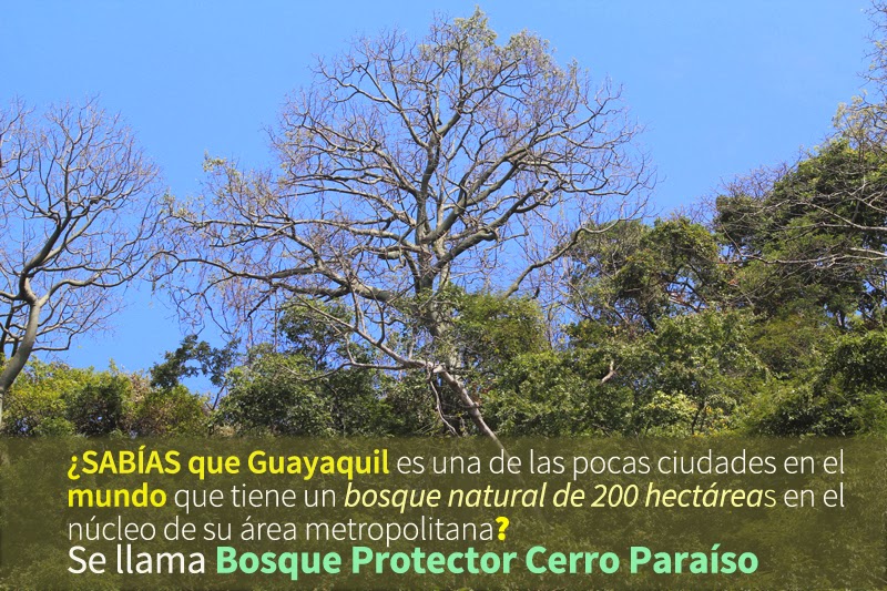 CERROS VIVOS Guayaquil con bosque natural en medio de la ciudad