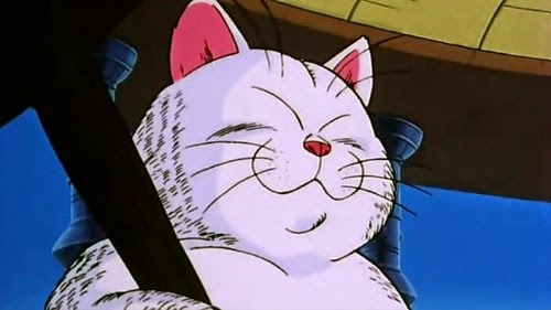 Los 4 mejores anime de gatos