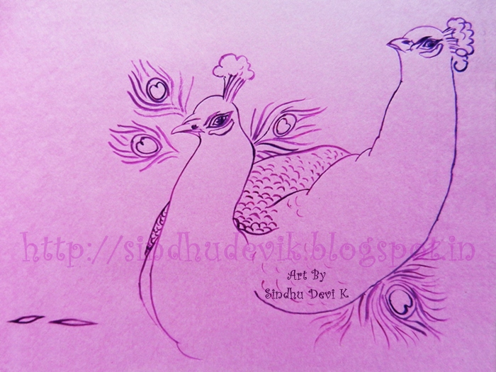 Two male peacocks in dancing mood. Drawn the outlines in lavender colour