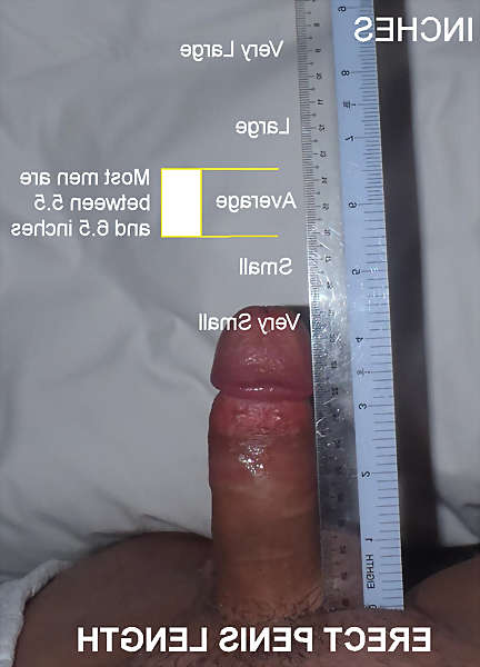 image of penis real pics