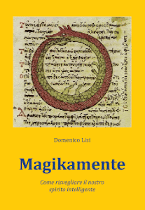 Il libro di Domenico Lisi