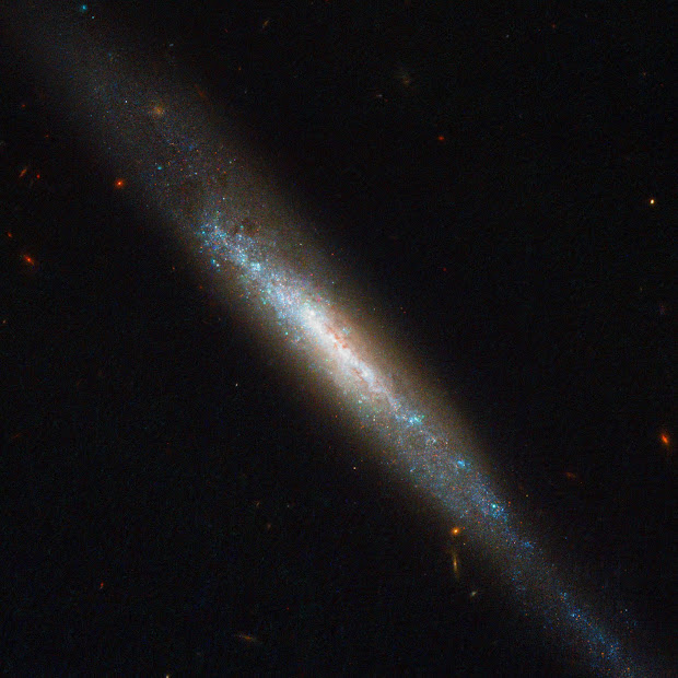 Edge-on Spiral Galaxy IC 755 hosts Supernova Explosion!