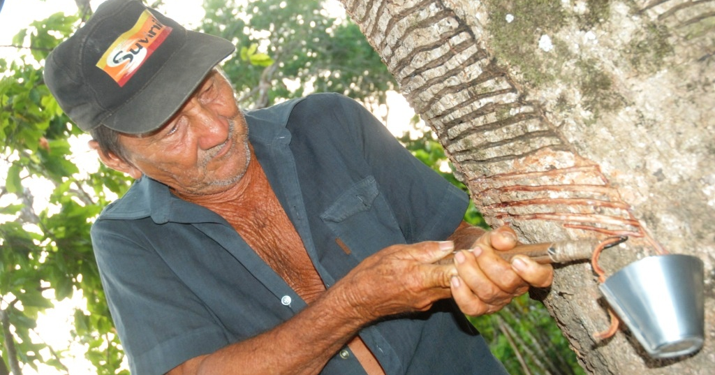 Capoeira Uncao Środa Wielkopolska Nutka Brazyli Seringueiros, czyli