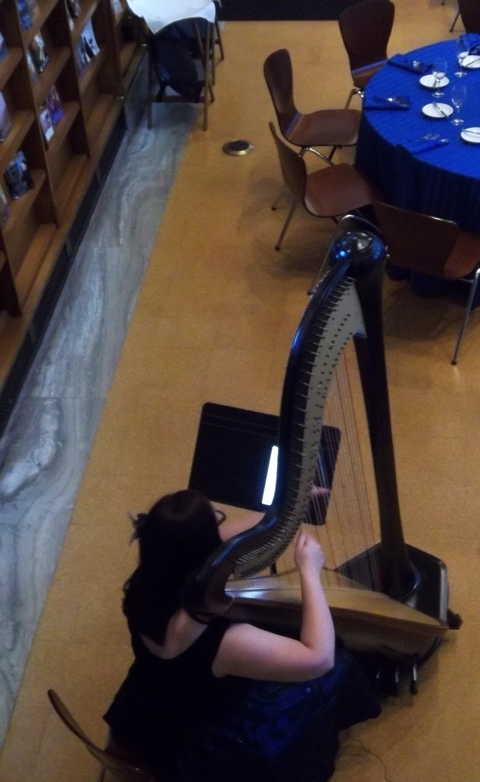 Indianapolis Harpist Rehearsal Dinner at the Indianapolis Central