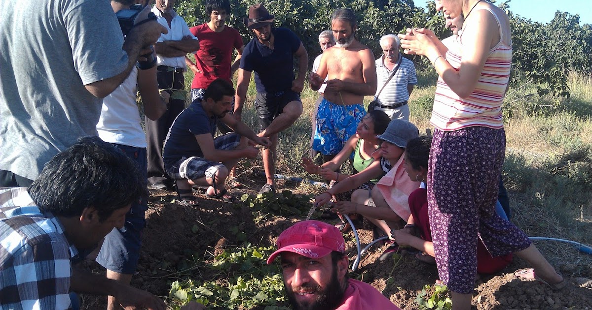 Eko Jin Ekoloji Hareketinin Kurdistani Rengi Eko Jin Firatnews