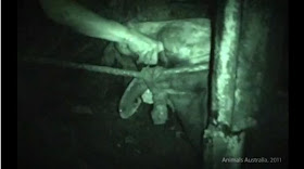 Veant Oh Dea Dea Oh Dea Dea Veant June 2011