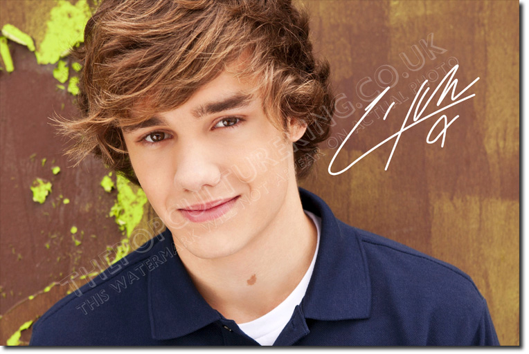 Prima's Blog Biodata One Direction