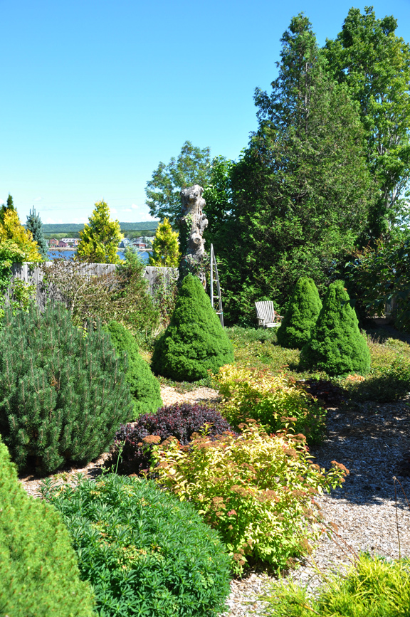 Three Dogs in a Garden A Garden filled with Lavender & Heather