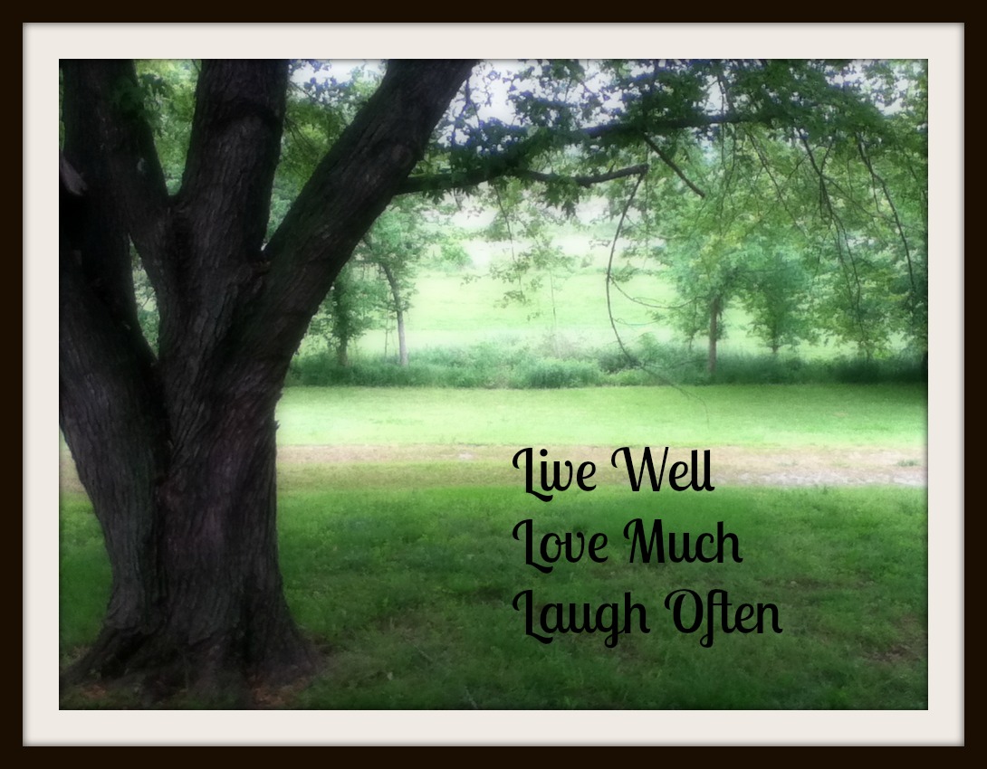 Harvest Lane Cottage: Live Well. Love Much. Laugh Often.