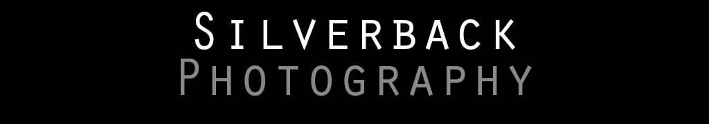 Silverback Photography