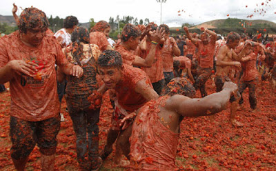 نقره لتكبير أو تصغير الصورة ونقرتين لعرض الصورة في صفحة مستقلة بحجمها الطبيعي