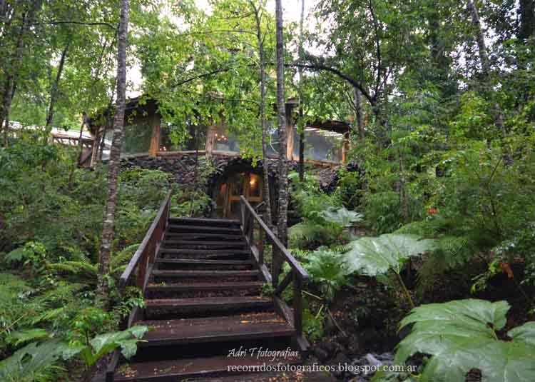 Recorridos fotográficos Huilo Huilo , Chile