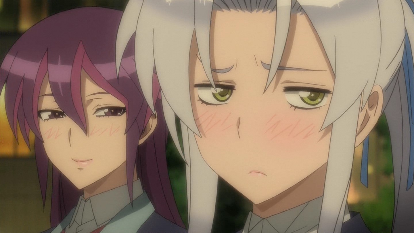 Triage X Episode 03 Subtitle Indonesia - Fansubs ID