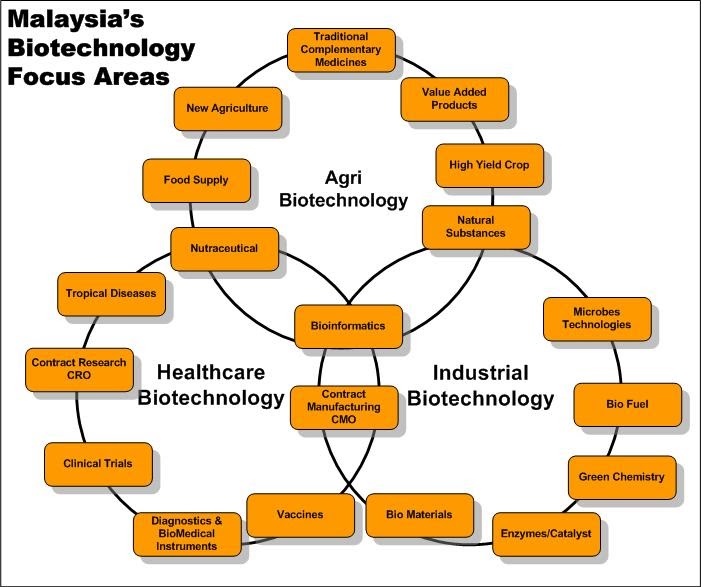BIOTEKNOLOGI: Gambar-gambar Bioteknologi