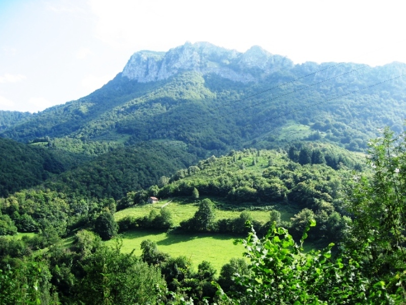 Por el mundo Campo de Caso