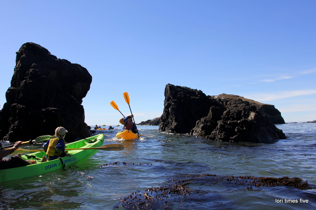 lori times five kayak mendocino