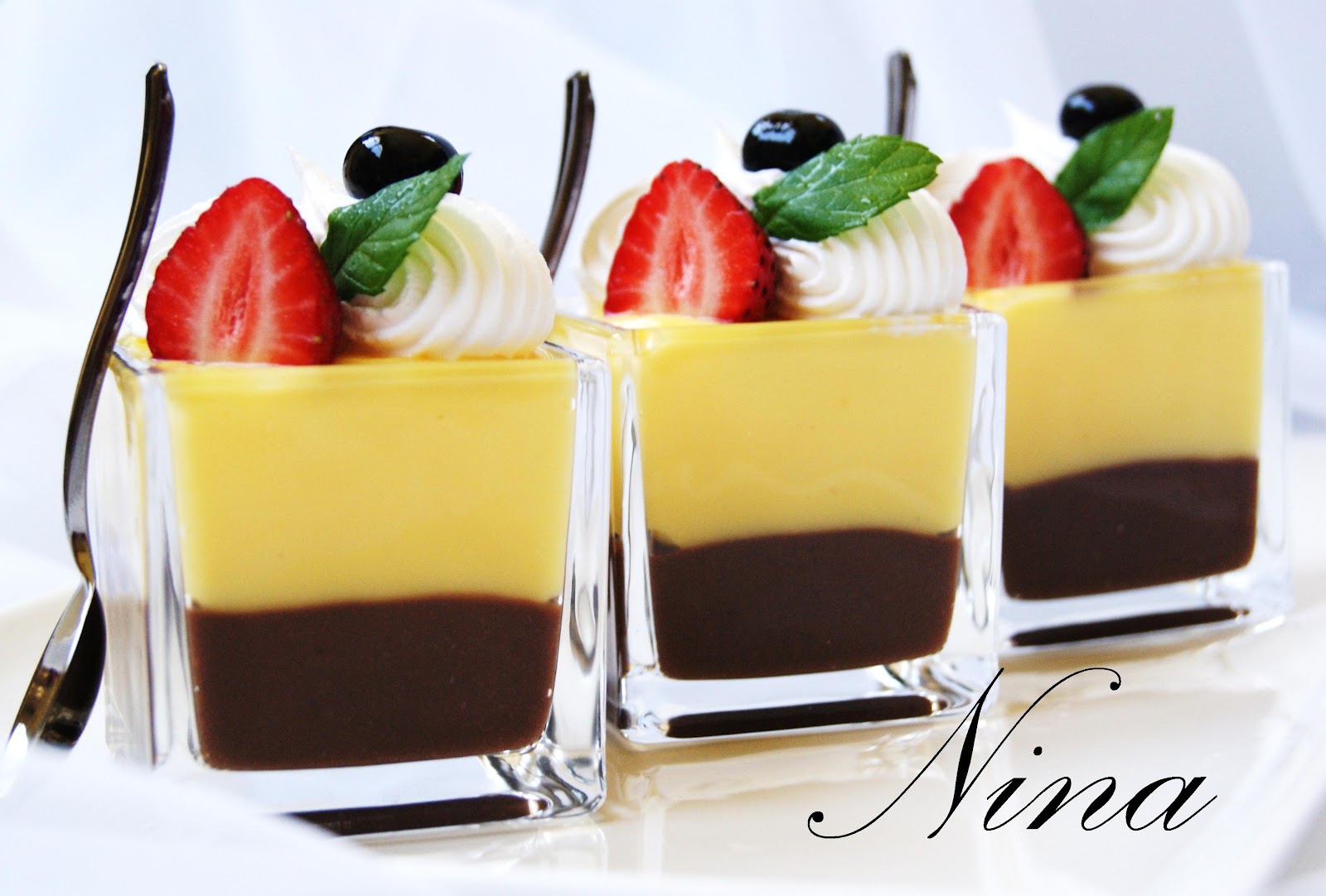 NINA'S RECIPES..... CHOCOLATE AND VANILLA PUDDING DESSERT