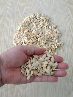 Кабачок Кабачок
