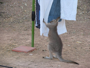 Bringing in the washing - NOT!