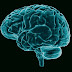 Manfaat Neuroscience Dalam Kehidupan