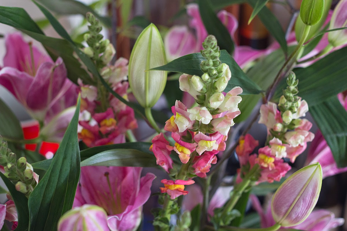 chinese new year flowers