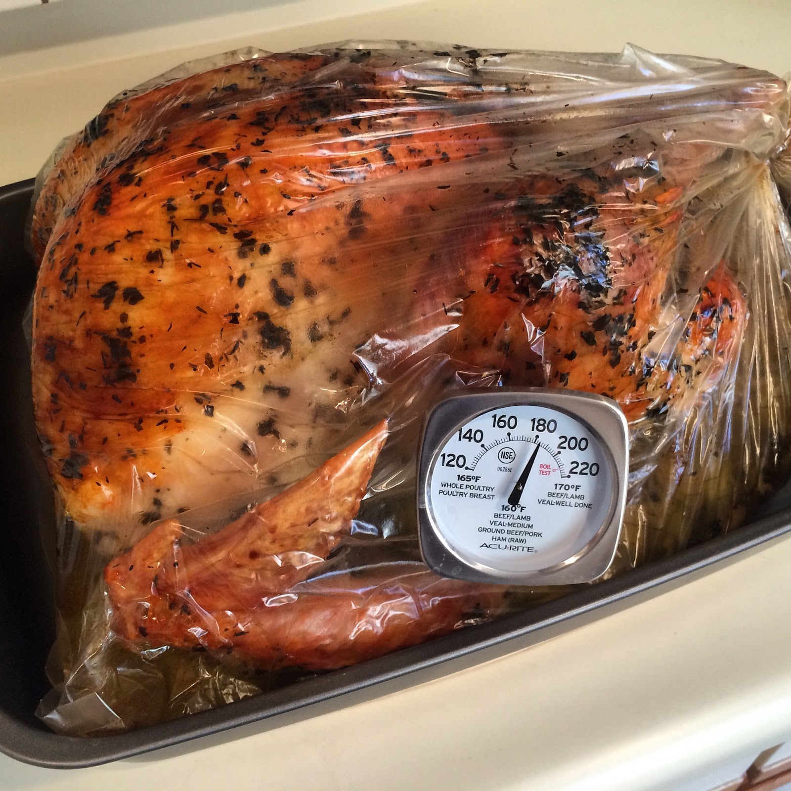 Thanksgiving Oven Bag Turkey