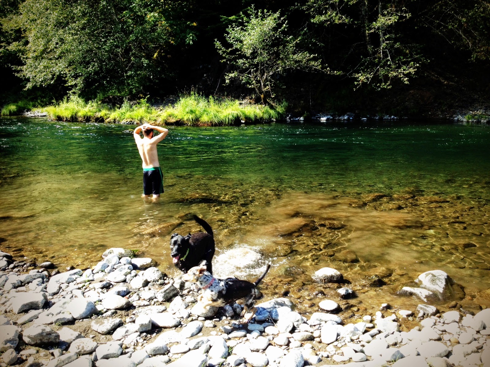 Alder Flat Trailhead at John Billiot blog