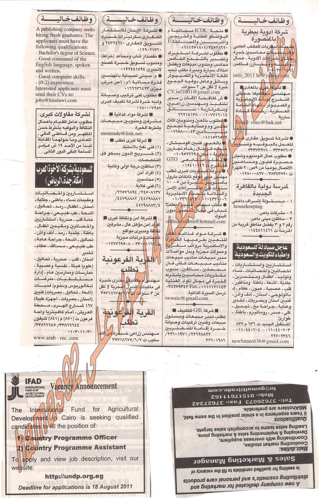 وظائف جريدة الاهرام الجمعة 12 اغسطس 2011 Picture+002