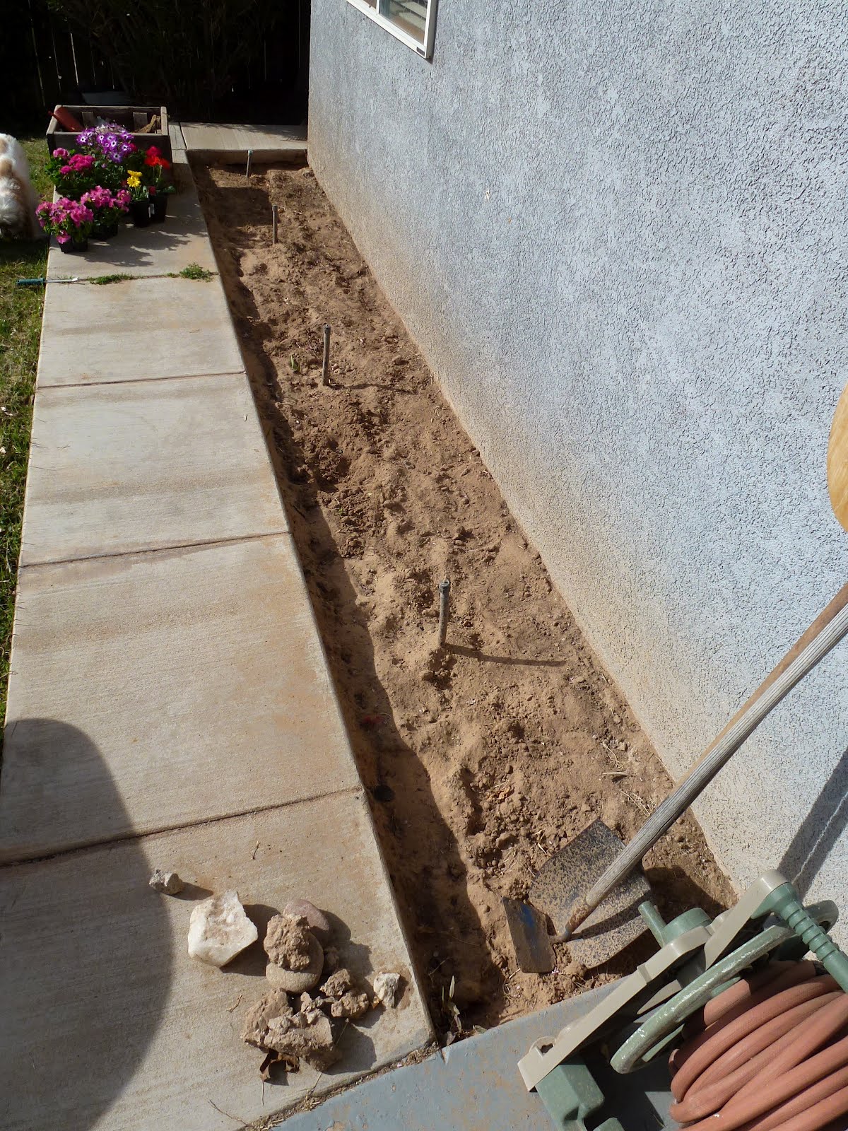 Sprinkler Juice Preparing a Flower Bed Part 2