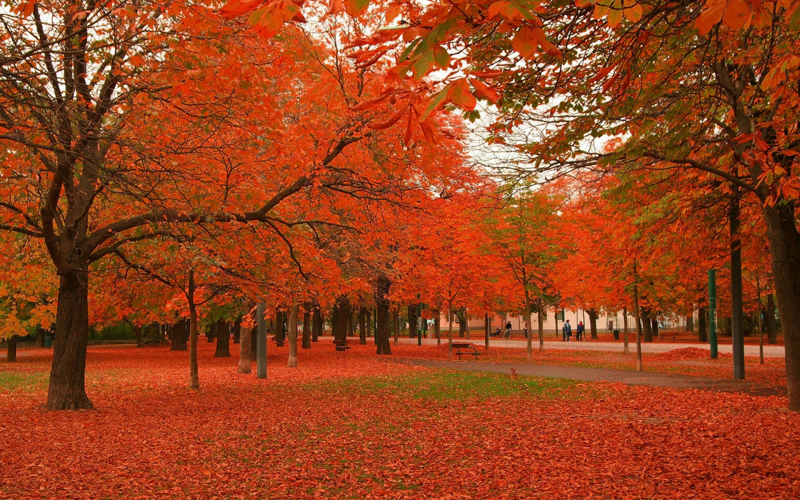 seasonal autumn