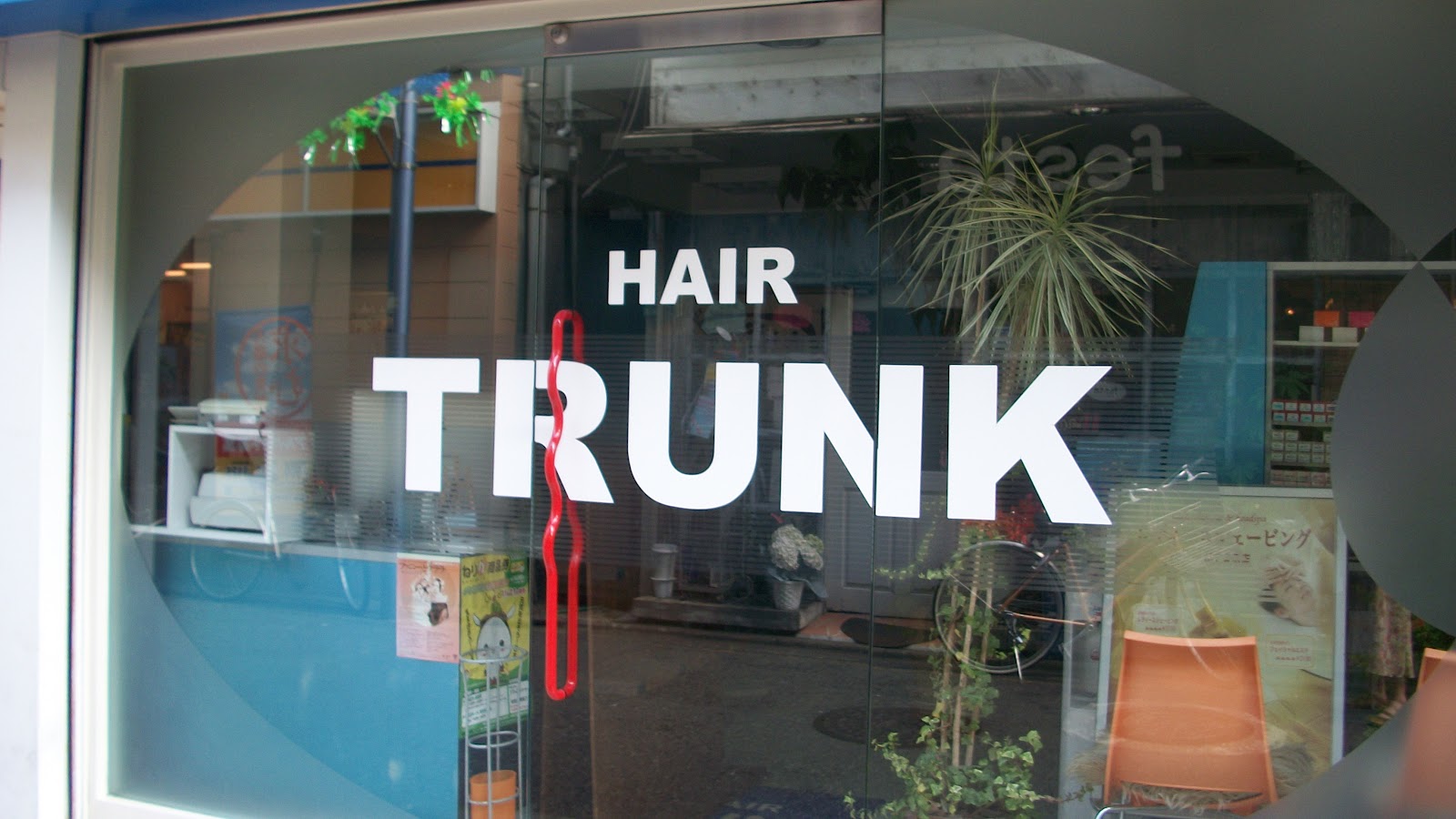 hair trunk