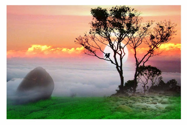 amazing beautiful nice latest pictures of nature places cars bikes