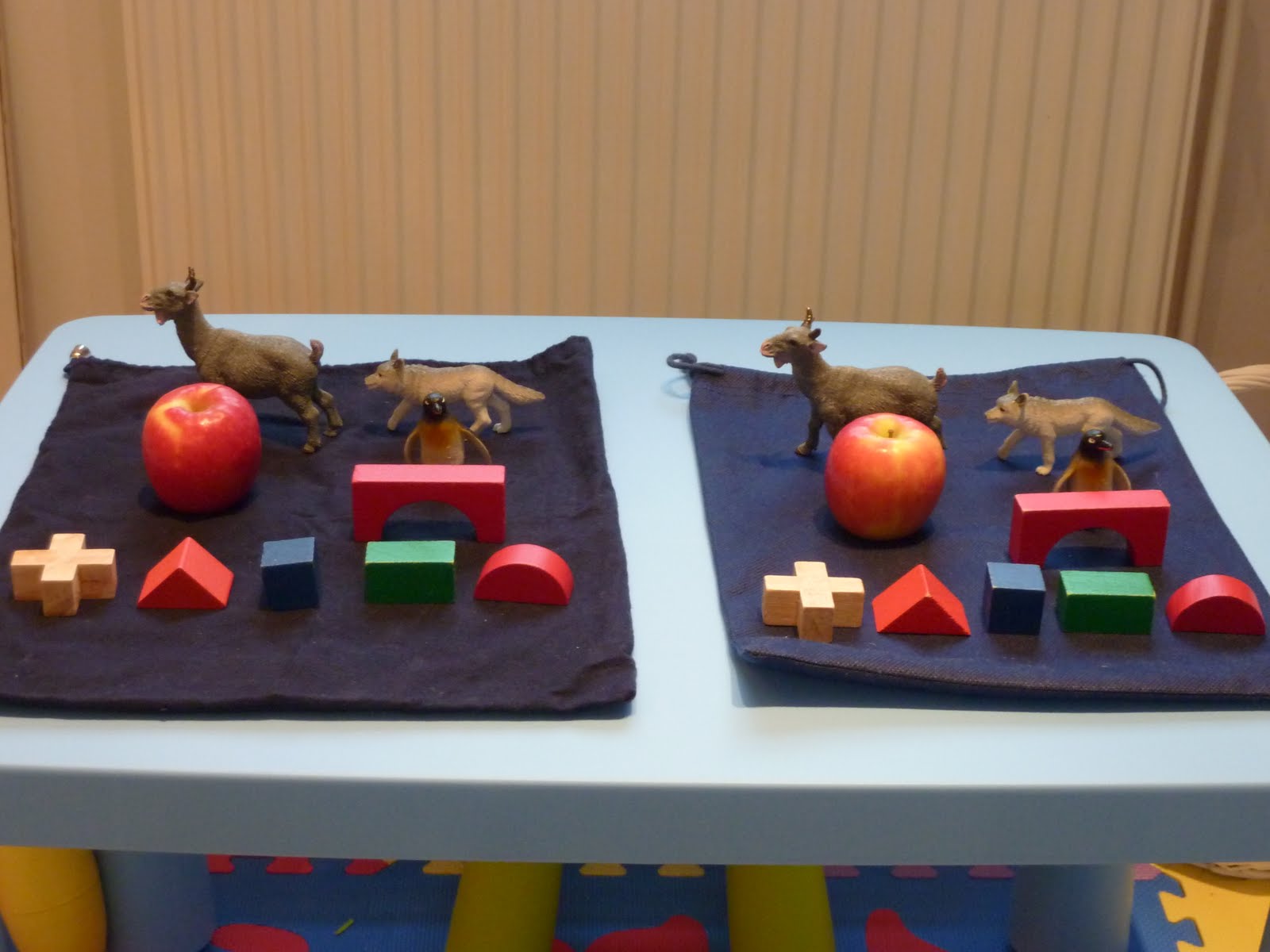 Family FECS Montessori Activity Mystery Bags (Touch Sensory)