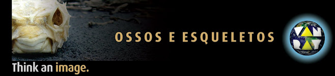 ossos e esqueletos van ray