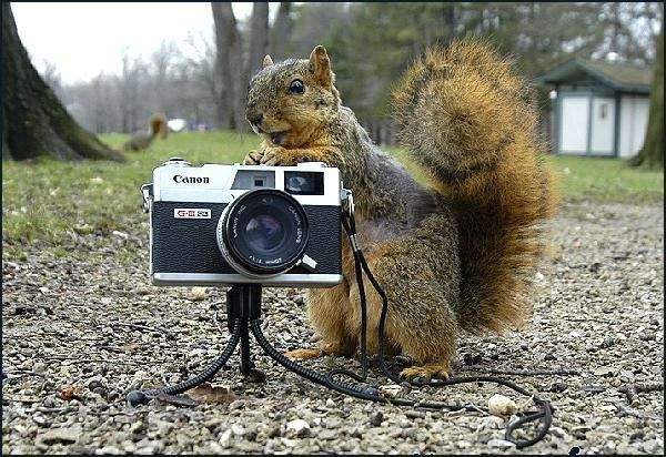 Photographers And Their Subjects