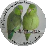 Parrotlet Athens Club