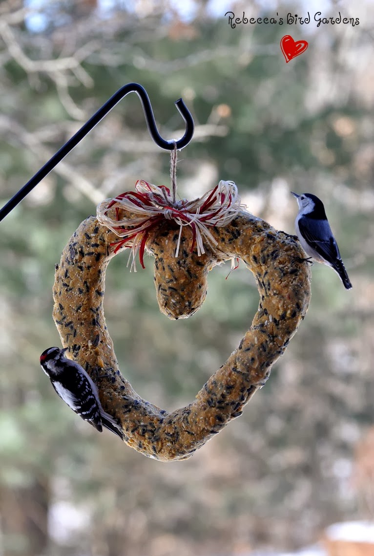 Rebecca's Bird Gardens Blog DIY Heart BirdFeeders ♥