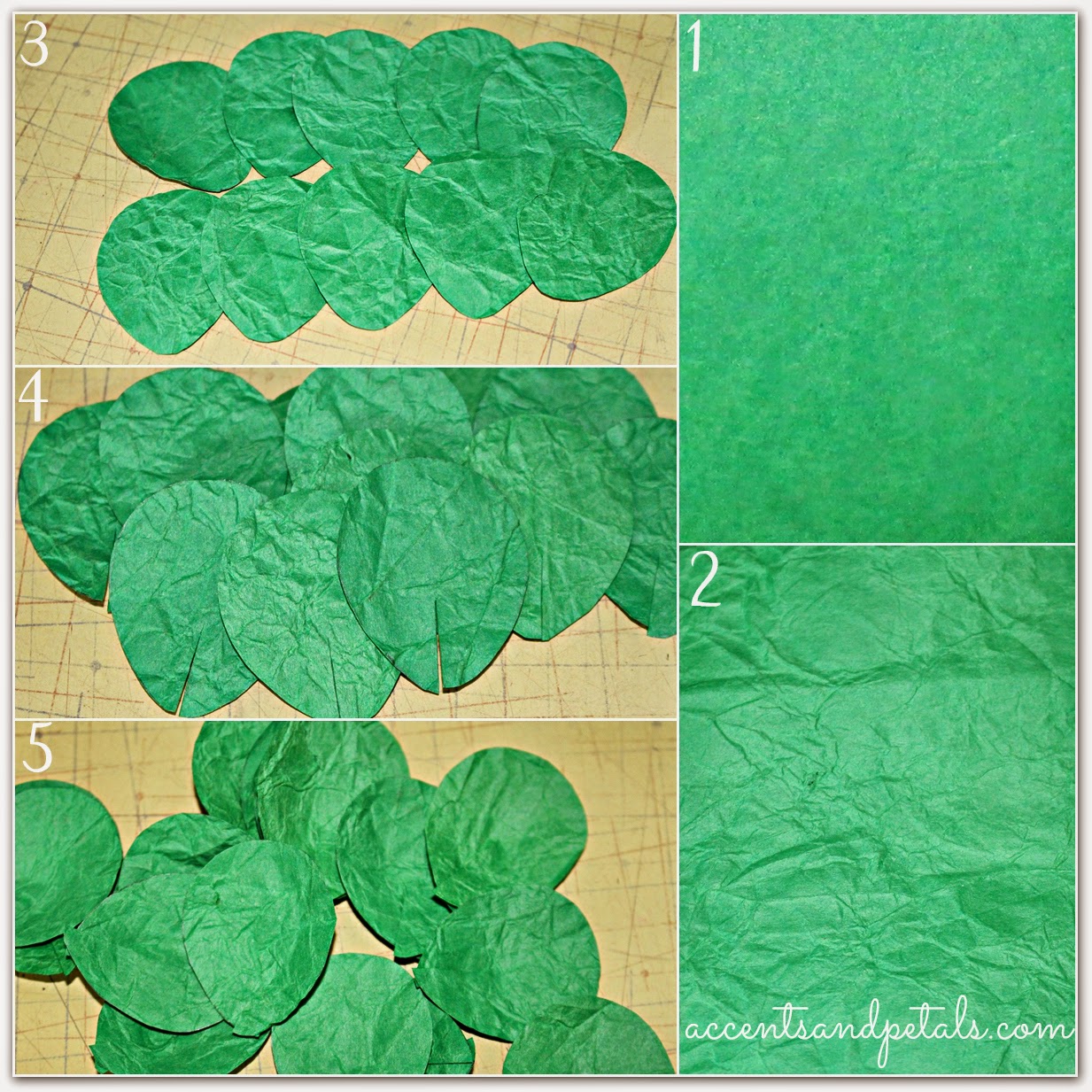 Reduce. Reuse. Recycle. Replenish. Restore. DIY How to Make a Cabbage