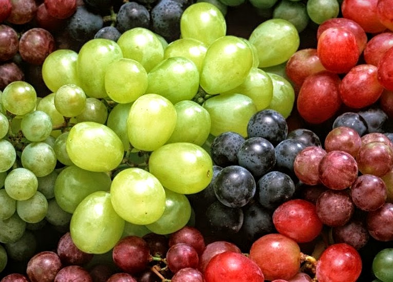 are grapes toxic to dogs vet how many grapes would be poisonous to a what to do are grapes toxic to dogs vet how many grapes would be poisonous to a what to do