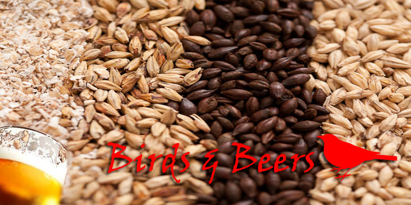 Birds and  Beers